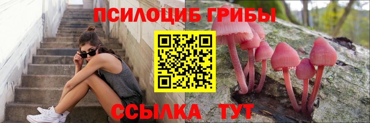 Псилоцибиновые грибы Cubensis Аксай