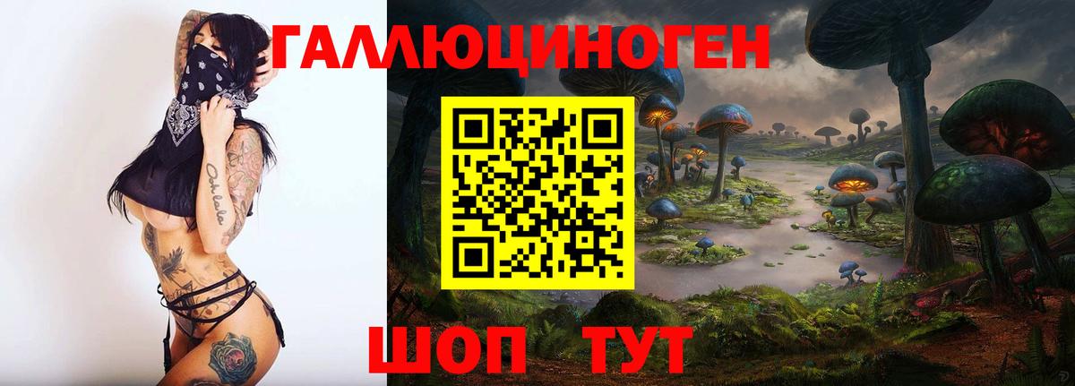 Аксай  Псилоцибиновые грибы мицелий  Вход с VPN 